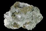 Chalcopyrite and Pyrite Crystal on Calcite - Morocco #137144-2